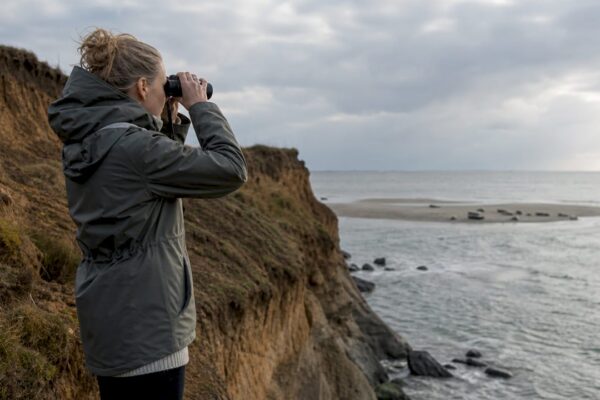 Vrouw ontdekt groepje zeehonden op drooggevallen zandbank