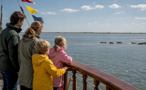Samen met het gezin zeehonden spotten vanaf een boot op de Waddenzee.