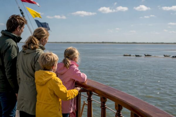 Samen met het gezin zeehonden spotten vanaf een boot op de Waddenzee.