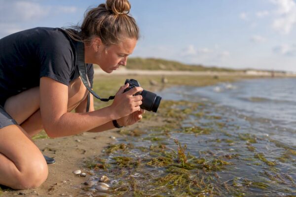 Een vrijwilliger legt een waterplant vast op de kust van Ameland.
