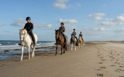 Ruiters te paard op het strand van Ameland