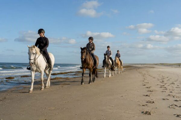 Ruiters te paard op het strand van Ameland