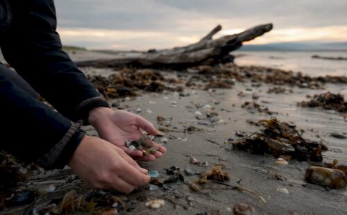 Handen die schelpen rapen op het strand van Ameland
