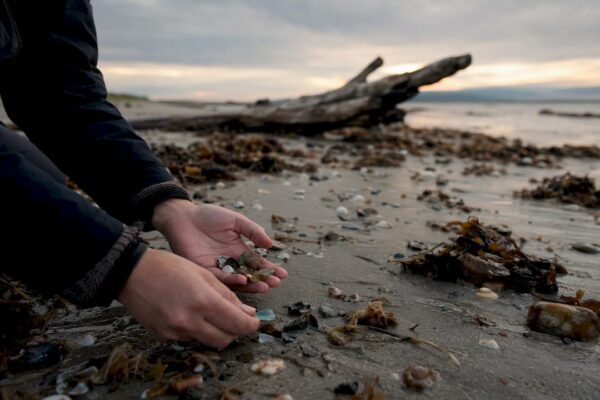 Handen die schelpen rapen op het strand van Ameland