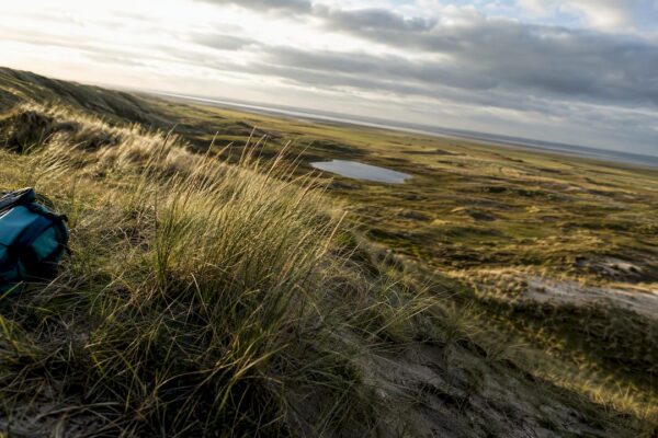 Uitzicht op de duinen en kwelders van Ameland