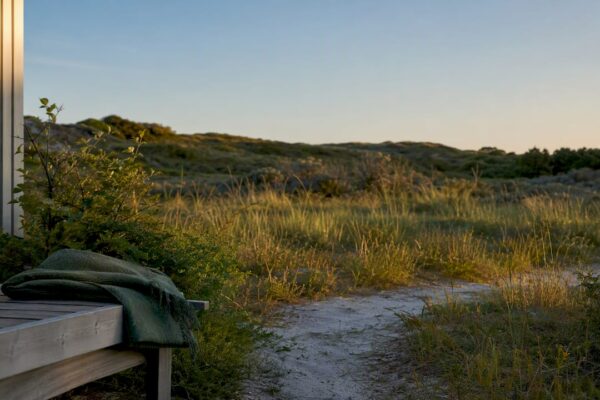 Vakantietuin aan de rand van de duinen op Ameland