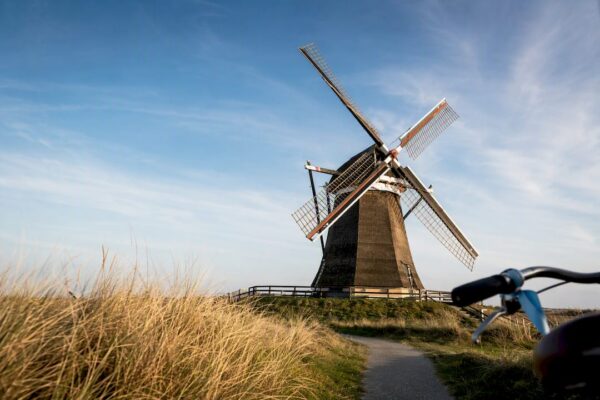 Korenmolen De Phenix in Nes bij avondlicht