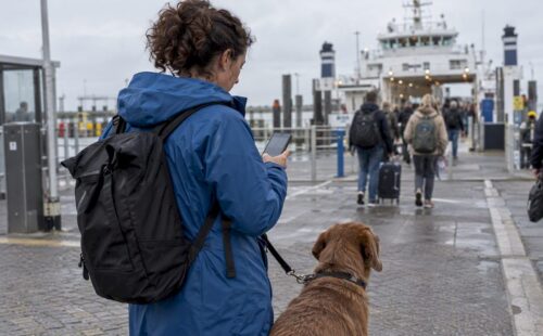 Reiziger met hond op de veerboot naar Ameland