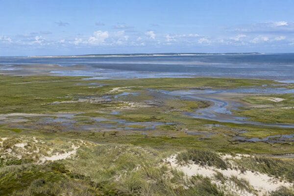 Uitzicht op de kwelders en de Waddenzee bij Het Oerd