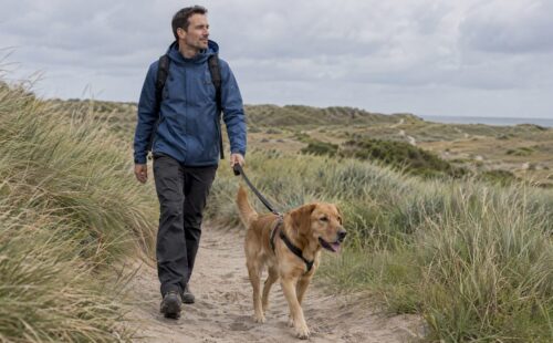 Hond loopt met eigenaar over het duinpad
