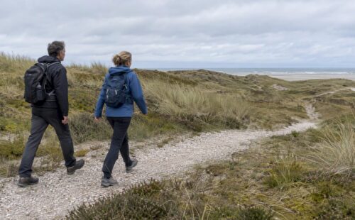 Wandelaars lopen over een schelpenpad door de duinen