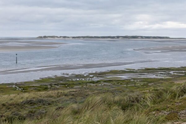 Getijdengeulen en kwelders langs een Waddeneiland